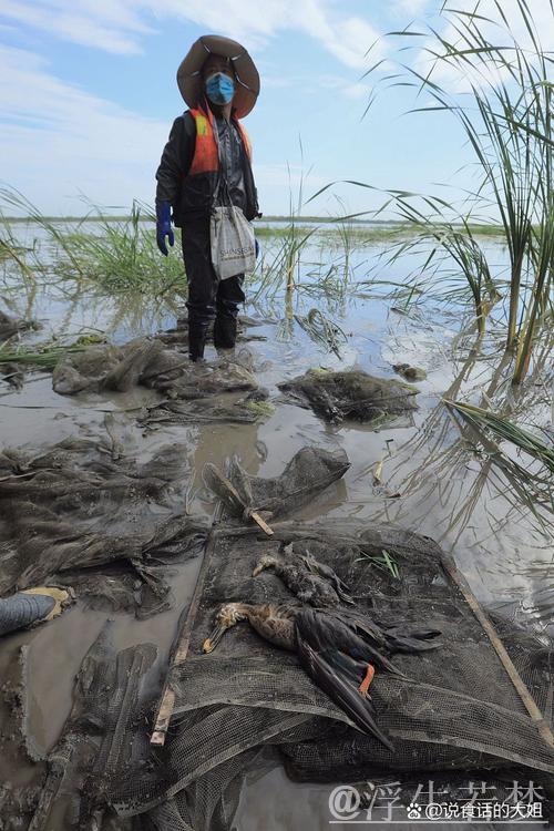 安凤珍：体育人生路，一世情未央